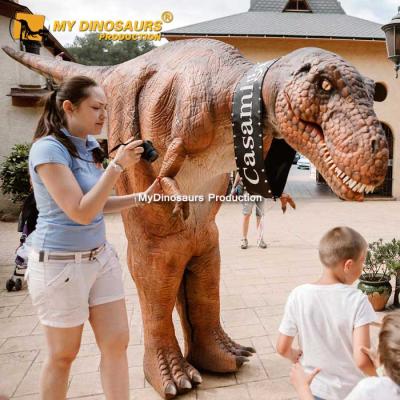 China Museum My Dino Lifelike Adult Halloween Costumes for Birthday Party for sale