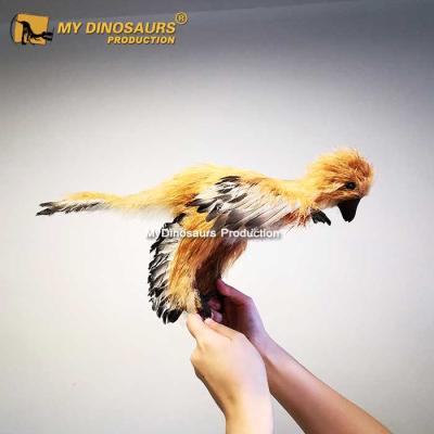 China Waterproof My Dino Realistic Animatronic Animal Life Sized Bird for sale