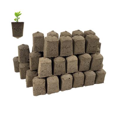 China Fast rooting Grow Hydroponic Sponge Seed Pods 1 Inch Wide 1.5 Inch High Seed Starter Plug Fits For Garden Hydroponics Farm Growing System for sale