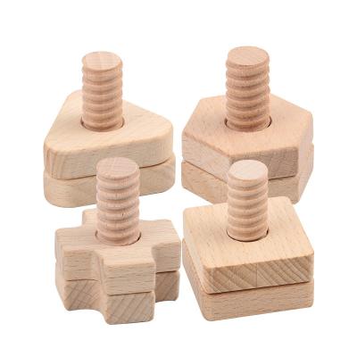 China 4pcs Montessori Wooden Nuts Wooden Toy Screw and Bolts Children Skill Trainning Tools Materials Early Childhood Education for sale