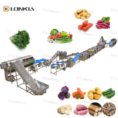 China Negative Effect LONKIA Vegetable Salad Material Vegetable Production Line Cutting Washing Dewatering Processing Line for sale