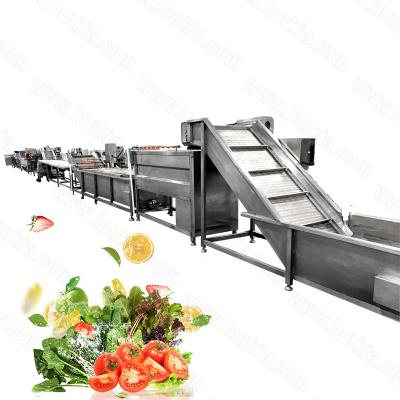 China Material Automatic Line Without Negative Effect Vegetable Salad Vegetable Processing Fruit Cutting Washing Production Line for sale