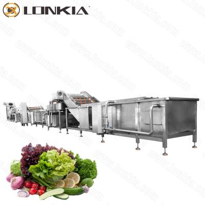 China Snack Factory Washing Automatic Vegetable Cutting Production Line Salad Vegetable Processing Line for sale