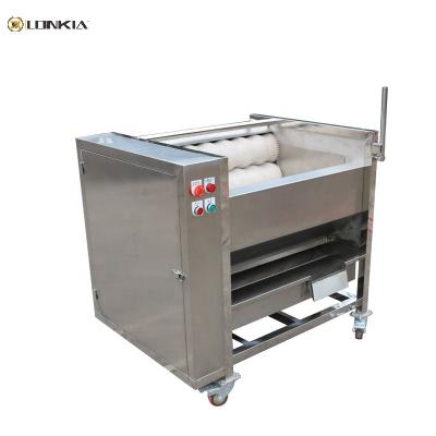 China LONKIA Labor Saving Brush Roller Potato Carrot Cassava Vegetable Washing Machine for sale