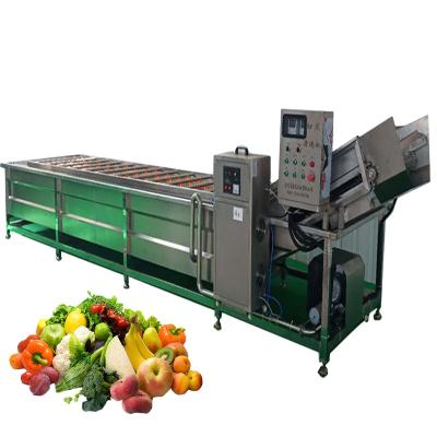 China Automatic Vegetable Snack Factory Air Bubble Washing Machine Garlic Pepper Chilli Washing Machine for sale