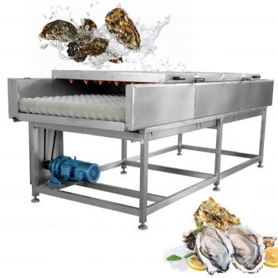 China Water Save Shell Washing Machine Seafood Cleaning Equipment Oyster Washing Machine zu verkaufen