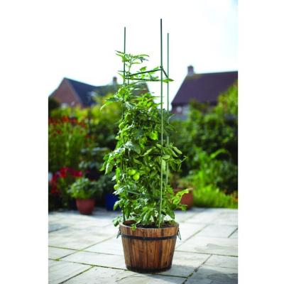 China Reusable/Waterproof Green Tomato Cage Planter Trellis Tomato Climbing Cage for sale