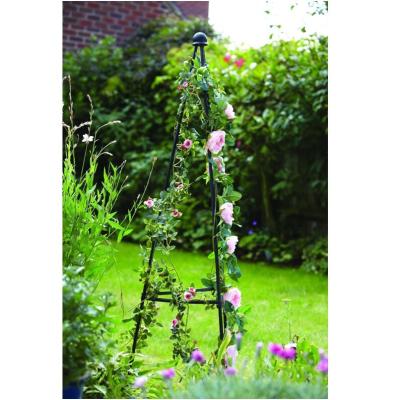 China New Design Reusable / Waterproof Garden Planter Cage Plant Climbing Sticks for sale