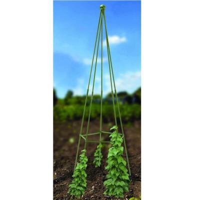 China New Design Reusable/Waterproof Assemble Garden Plant Tomato Cage Set Stake Climbing Trellis Set for sale