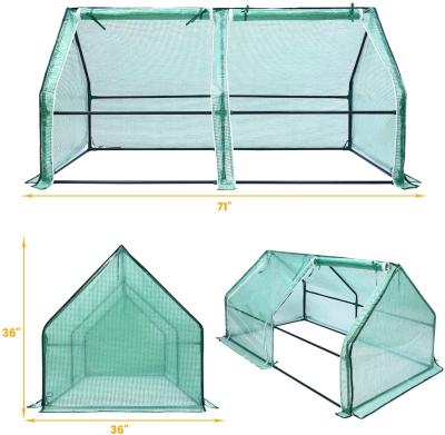 China PE Tarpaulin Garden Steeple Greenhouse Hot Sale Household Portable Small Walk Easily Assembled for sale