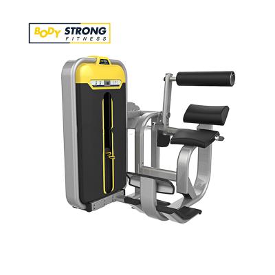 China Commercial Steel Tube Machine Fitness Gym Equipment Back Extension for sale