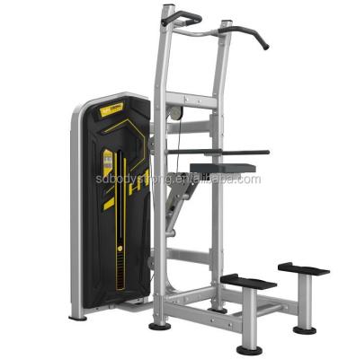 China Strong Aid Chin Dip Machine Commercial Use Commercial Body Fitness Equipment for sale