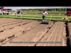 Vegetable Seeder Machine