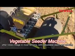 Multiple Rows Precision Vegetable Planter Machine Manual Operation