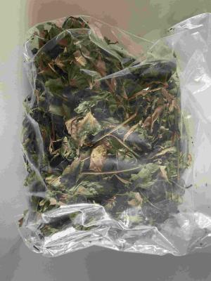 China Organic Dried Pure Raspberry Leaf Tea Cut Sifted Sweet Raspberry Leaves Herbs Tea Bags Pregnancy Tea for sale