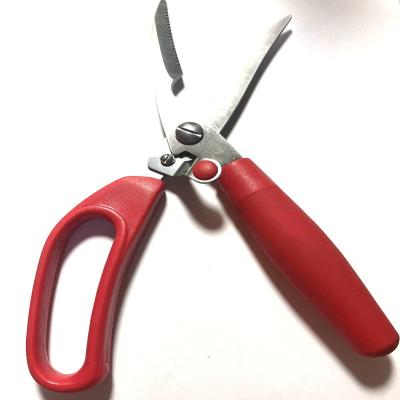 China High quality kitchen stainless steel factory outlety chicken bone scissors with pp handle for sale