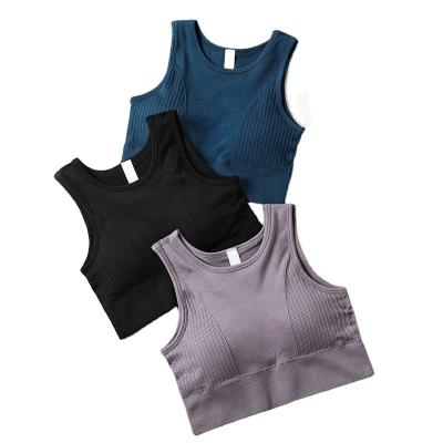 China 2022 New Women Sports Bra Workout Breathable Seamless Crop Long Striped Sports Bra Ribbed Crop Top Fitness Yoga Bralette Wireless Top for sale