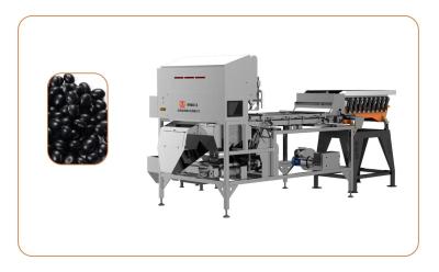 China Black Beans Infrared Sorting Machine More Than 1T/H à venda