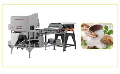 China Low Energy Consumption Scallops Infrared Sorting Machine High Speed à venda