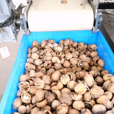 China SS304 Walnut Shelling Machine 380V One Key Automatic 7.5kW 2 Tons for sale