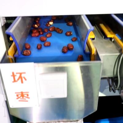 China Computer Control Intelligent Stainless Steel Dates Sorting Grading Machine 10 Lanes for sale