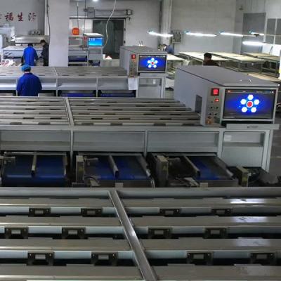 China Tailored Chestnut Sorting Machine With 8 Discharge Ports For Varied Grades And Sizes en venta