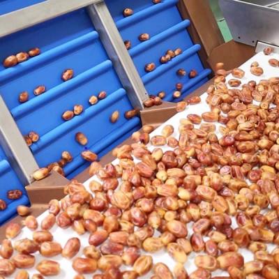 China Advanced 8-Lane Palm Dates Sorting Machine 2.0 Tons Per Hour With MD Certificates for sale