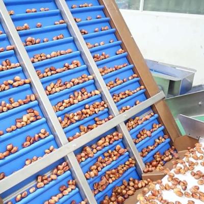 China Optimal Hardness and Softness Sorting 1.4 Tons Output 6-Lane Palm Dates Sorting Machine with CE MD Certificates for sale