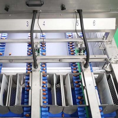 China 2.0 Tons High-Capacity Defect Sorting 8-Lane Palm Dates Sorting Machine for sale