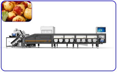 China Fresh Jujube Junzao Dates Sorting Machine 4 Channel Optical Sorter Machine for sale