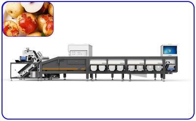 China Large Yield 50Hz 7.5KW Date Sorting Machine 8 Lanes Food Sorting Equipment for sale