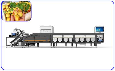 China High Speed Dates Sorting Machine Optical 6.3KW 380V 6 Lanes for sale