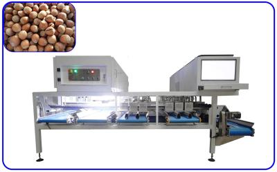 China Intelligent Industrial Sorting Machine 8 Channels Free Maintenance Hazelnut Sorter for sale