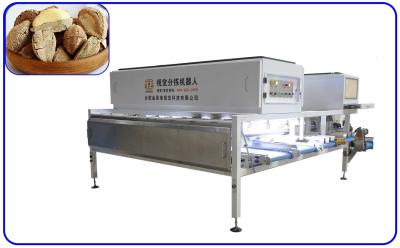 China 8 Kanal 1 Ton Nuts Industrial Sorting Machine 380V für Wüsten-Frucht zu verkaufen