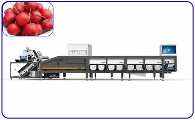 中国 ホーソーンの分類し、等級分け装置6.3KWの高速6チャネル 販売のため