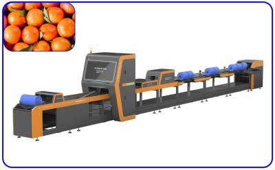 China Geschikte de Machine Intelligente Grote Output 1 van de Fruit Oranje Sorteerder Kanaal Te koop