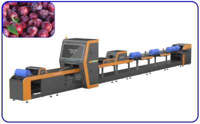 China Hochgeschwindigkeits-Plum Automatic Sorting Machine 1 Kanal intelligent zu verkaufen