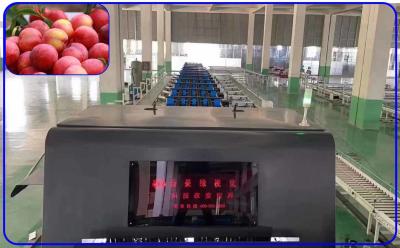 China Plum Automatic Sorting Machine Intelligent 3 Kanal-hohe genaue zu verkaufen