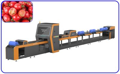 China Mechanischer automatischer Kanal Cherry Tomato Sorter des sortierende Maschinen-Elektroantrieb-1 zu verkaufen