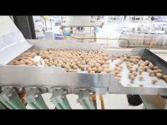 first walnuts shelling production line in China