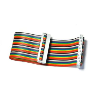 China GPIO 40P 2.54mm Rainbow Ribbon Cable Electronic Wiring Harness for sale