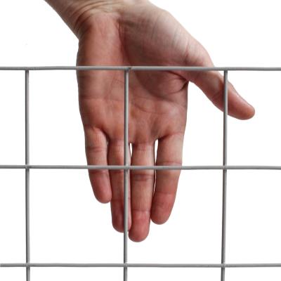 China Easily Assembled Welded Wire Mesh Panel for Fencing Trellis & Gates for sale