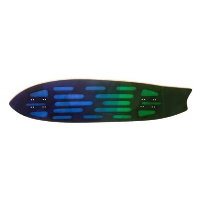 China Good adult training for beginners on land surfboards longboards and skateboard rigs for sale