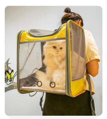 China Salecheap Transparent Pet Bag Large Cat Bag Pet Carrier Multifunctional Portable Backpack Breathable Warm Breathable for sale