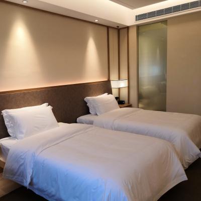 China Modern 5 Star Hotel Development Project Furniture Hotel Twin Bed Room Bedroom for sale