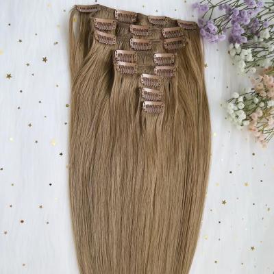 China High Quality Silky Straight Wave Clip In Straight Hair Extensions16