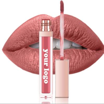 China Waterproof Hot Wholesale Custom Logo Lip Gloss Tube Private Label Printing for sale