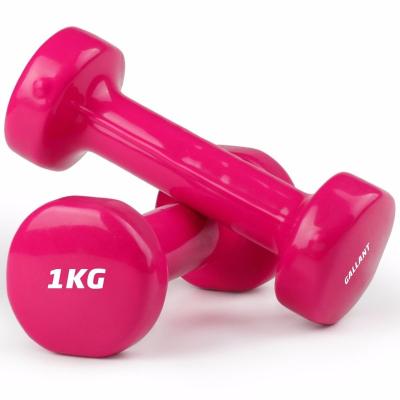 China New Style Vinyl Comfortable High Quality Luxury Dumbbell for sale