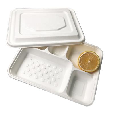 China Hot Selling Disposable Food Container Bagasse Paper 5 Compartment Biodegradable Food Bowl With Lid for sale