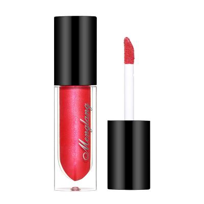 China 2021 Hot Selling Private Label Lip Gloss Metal Waterproof Durable Waterproof Metallic Lipstick Empty Liquid Lipstick for sale